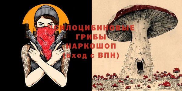 Альфа ПВП Семилуки