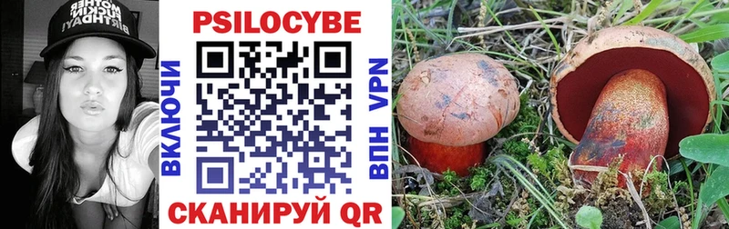 Купить закладки  Химки  Псилоцибиновые грибы ЛСД 