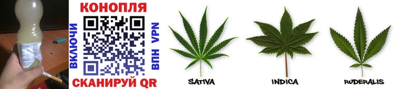 Шишки марихуана марихуана  Купить где  Химки 